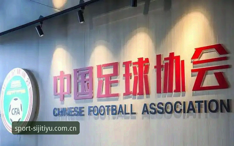 足球圈大清洗后的观赛实用指南——从足协第三批禁足名单看赛事直播必备知识